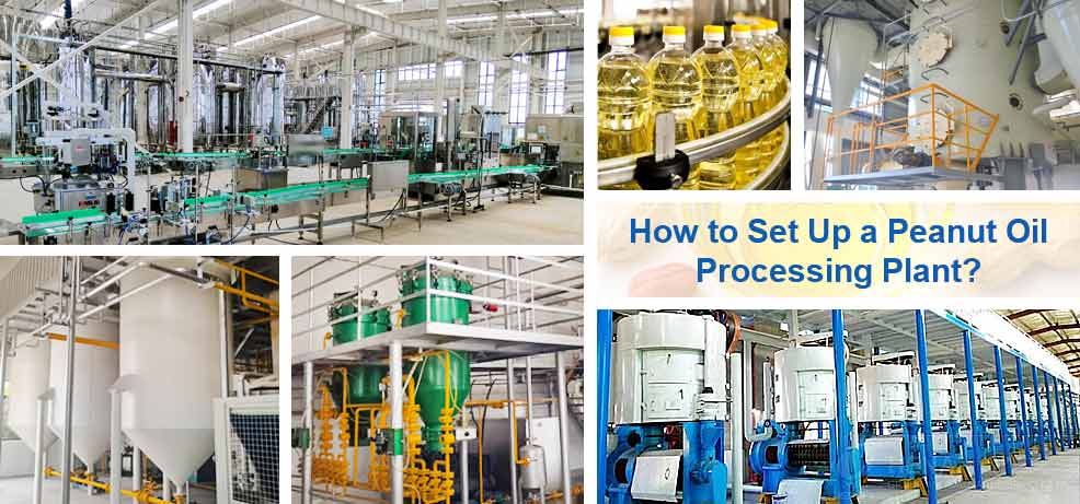 peanut oil processing plant.jpg