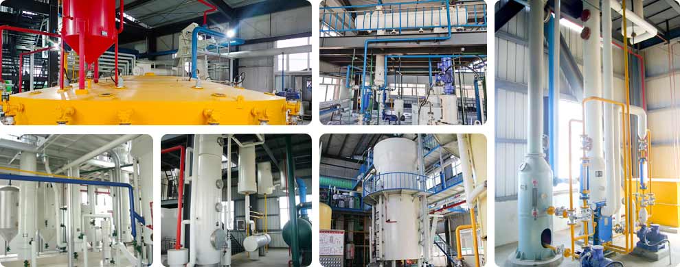 sunflower oil extraction plant.jpg