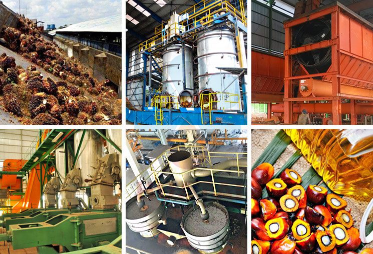 Equipment Needed for Palm Oil Production