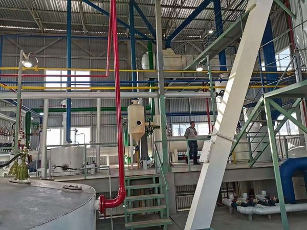 Canola Oil Extraction Equipment: Pre-pressing and Extraction Process Boost Oil Yield