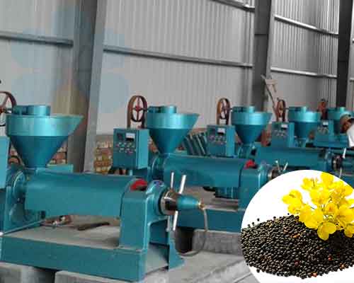 rapeseed-oil-press-machine.jpg