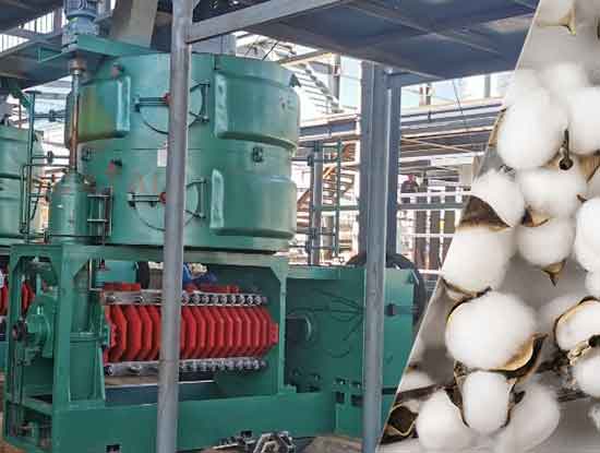 cottonseed-oil-press-machine.jpg