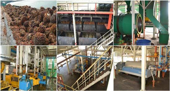 palm-oil-mills.jpg