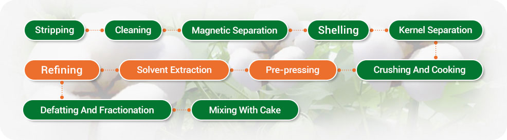 cottonseed oil production line process.jpg