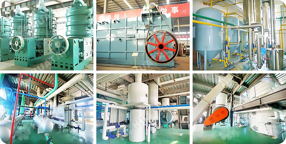 cottonseed oil plant.jpg