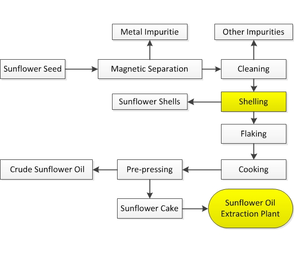 sunflower pretreatment.jpg