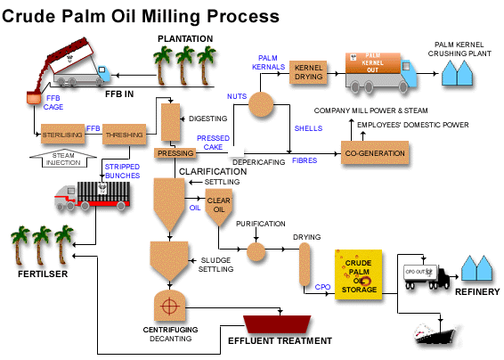 crude-palm-oil-production-line.jpg