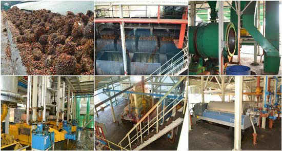 Introduction of 500kg (Fresh Fruit) per hour Palm Oil Mill Equipment