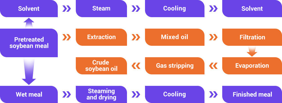 soybean oil extraction.jpg