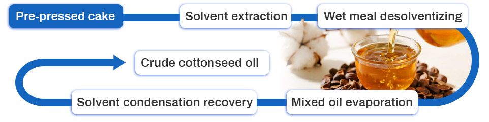 cottonseed oil extraction process.jpg