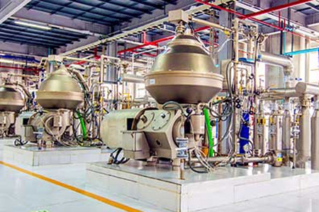 How to Obtain Refined, Bleached and Deodorized Palm Oil (RBD Palm Oil)? What Process Do We Need?