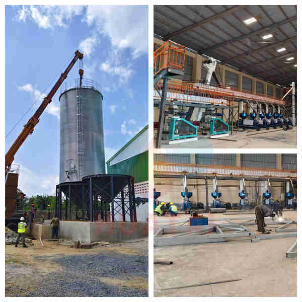 How Do You Extract Oil from Soybeans?