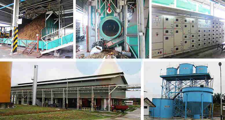 How Much Do I Need to Start a Palm Oil Mill?