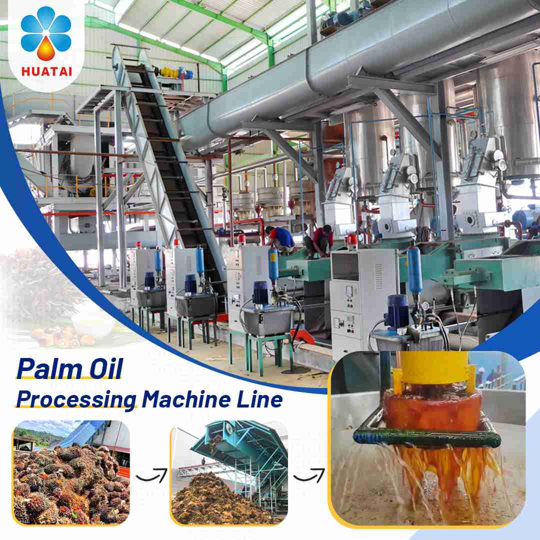 Palm Oil Processing and Palm Oil Mill