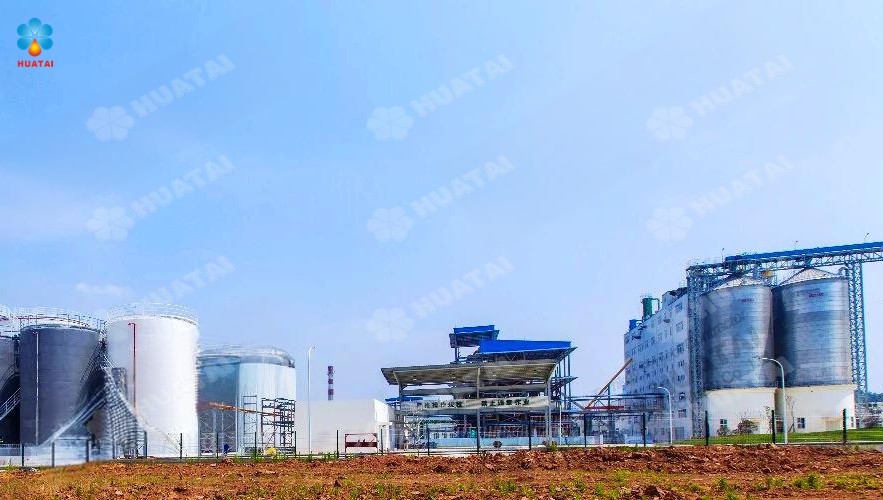 Steps of Red Palm Oil Extraction