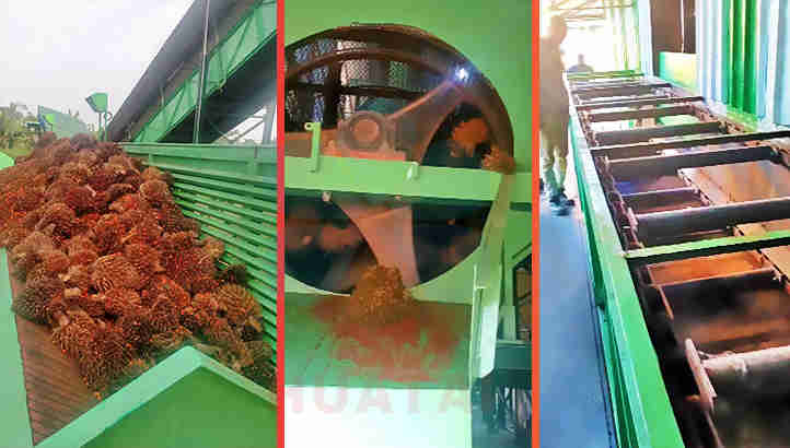 How to Start Palm Oil Business in Ghana?